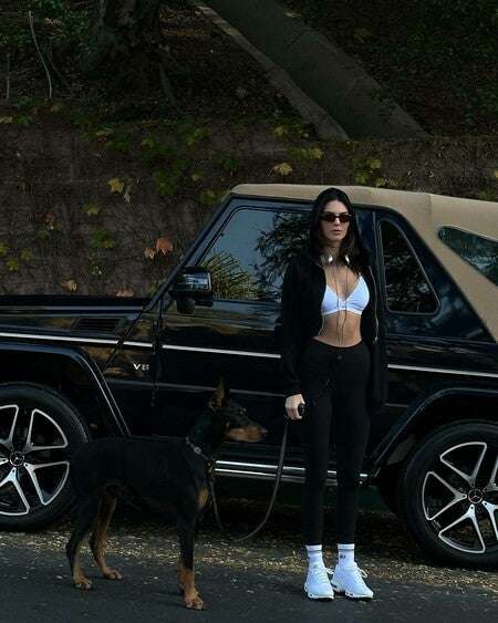 fe290adc06549b707449